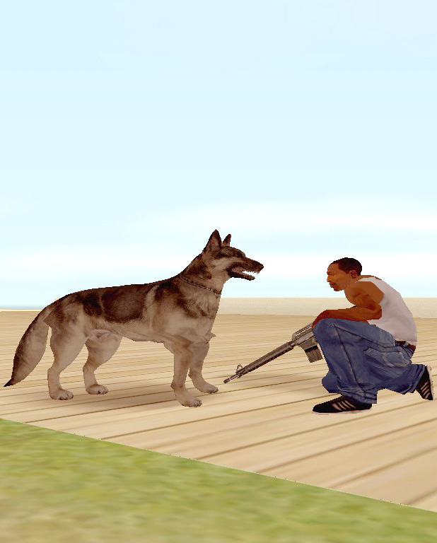 Коды на GTA San Andreas на Собаку